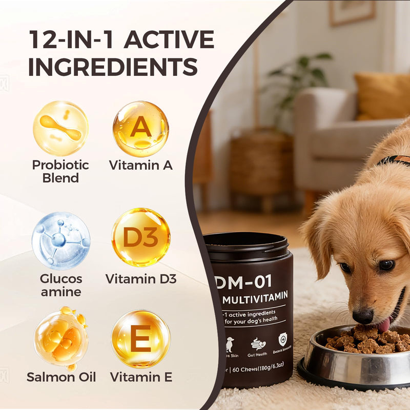 DM-01 Daily Multivitamin for Dogs, Multivitamin Itch Relief Chews Contain Glucosamine Probiotics Salmon Oil for Skin Coat, Gut & Immune Supports, 60 Chews (1) 1