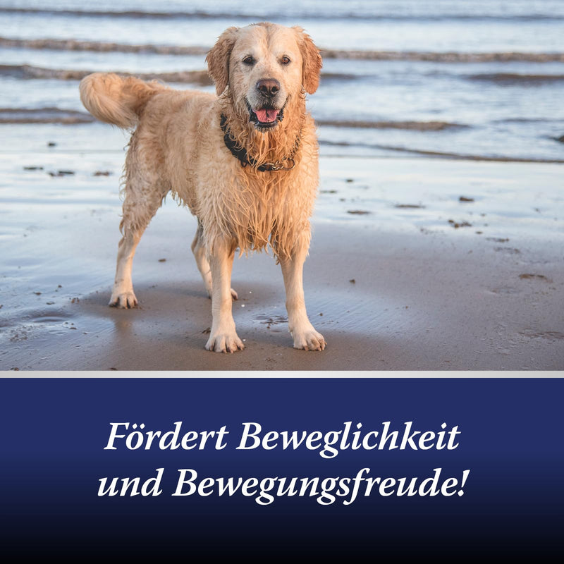 Canosept joint tablets for dogs - unique formula: with green-lipped mussel for dogs, glucosamine, Omega 3 for dogs - joint and bone protection for dogs - excellent acceptance - osteoarthritis for dogs - 80 tablets Joint tablets 80 pieces. - BeesActive Australia