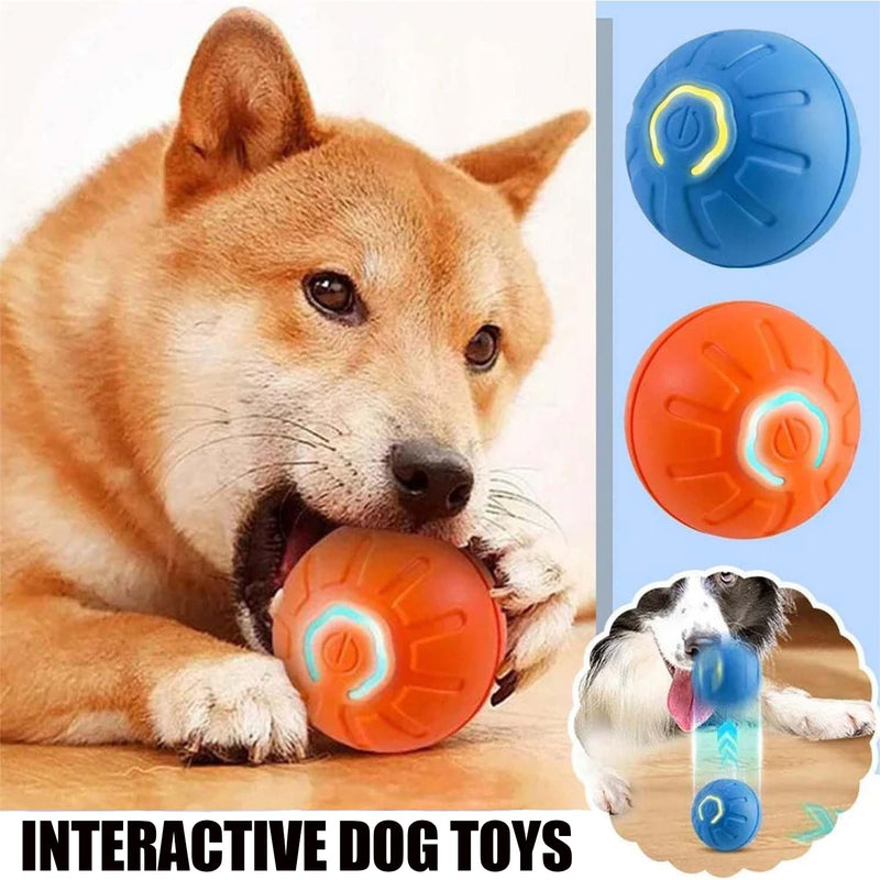 Shaky Ball Toy for Dogs,Vibrating Dog Ball,Shaky Ball Dog Toy,Automatic Moving Dog Toy Ball,Vibrating Ball for Dogs for Small, Medium, Large Dogs (Orange) Orange - BeesActive Australia