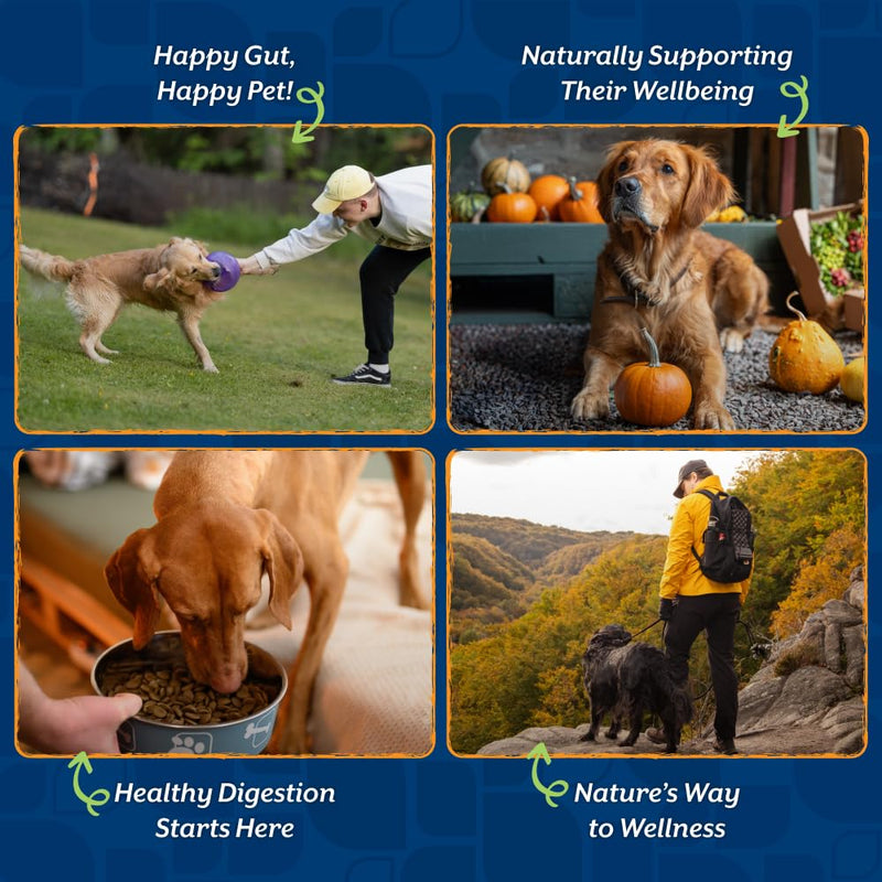 NaturVet Pure Pumpkin Powder for Dogs – 225g 100% Natural, Rich in Prebiotics High-Fibre Digestive Support for Firm Stools & Gut Health – Additive-Free - 90 Servings 225g Powder