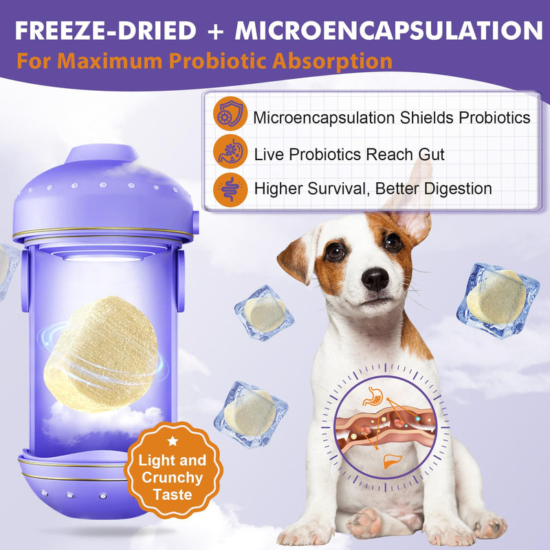 DRFOSTER Probiotics for Dogs, Freeze-Dried Dog Probiotics and Digestive Enzymes, Plus Omega-3 for Itchy Skin, Prebiotics for Digestive Health, Dog Vitamins and Supplements for Immune Health, 180 Bites Purple