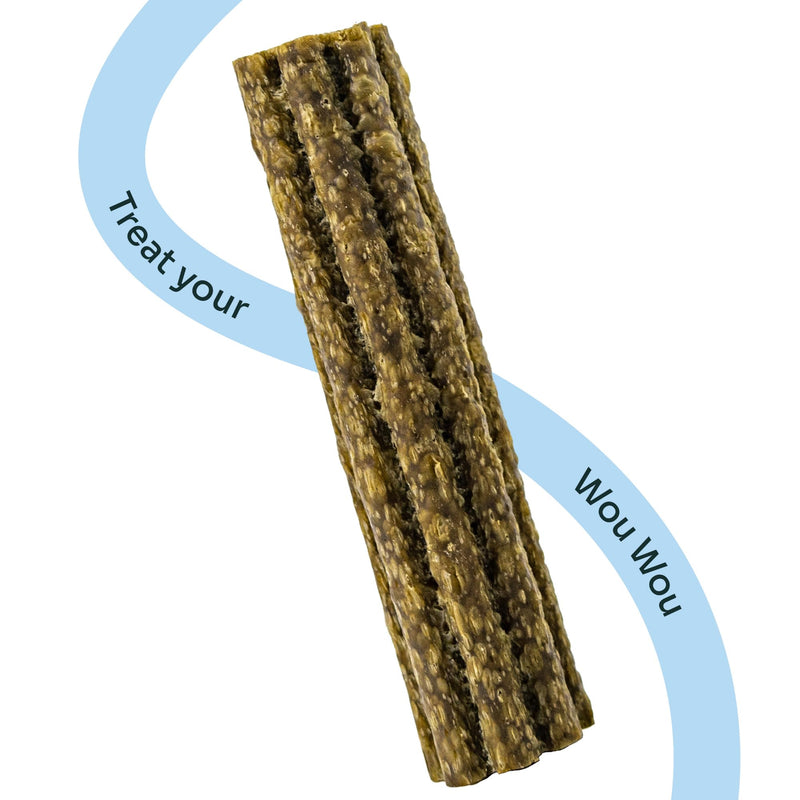 Notti Dental Chews for Medium to Large Breed Dogs – Plaque & Tartar Control Dental Stick, Teeth Cleaning Oral Care Treats, Fresh Breath & Healthy Gums – Duck, Spinach & Broccoli