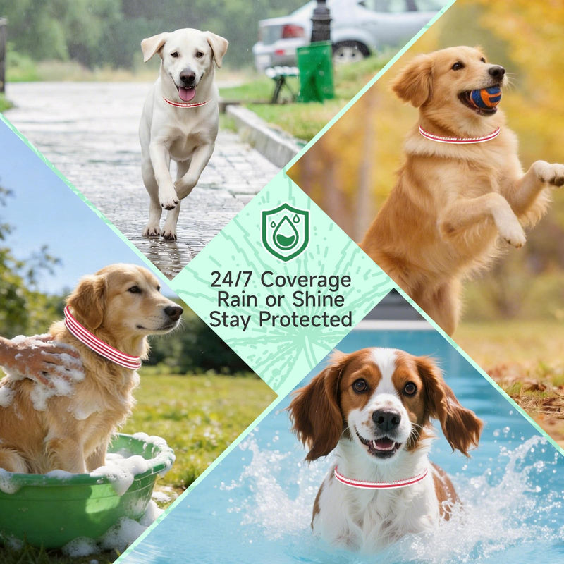 4 Pack Flea Collar for Dogs, Flea and Tick Prevention for Dogs, Dog Flea and Tick Treatment, 32 Months Protection, Waterproof, Adjustable Tick Collar for Dogs, One Size Fits All, Red and White