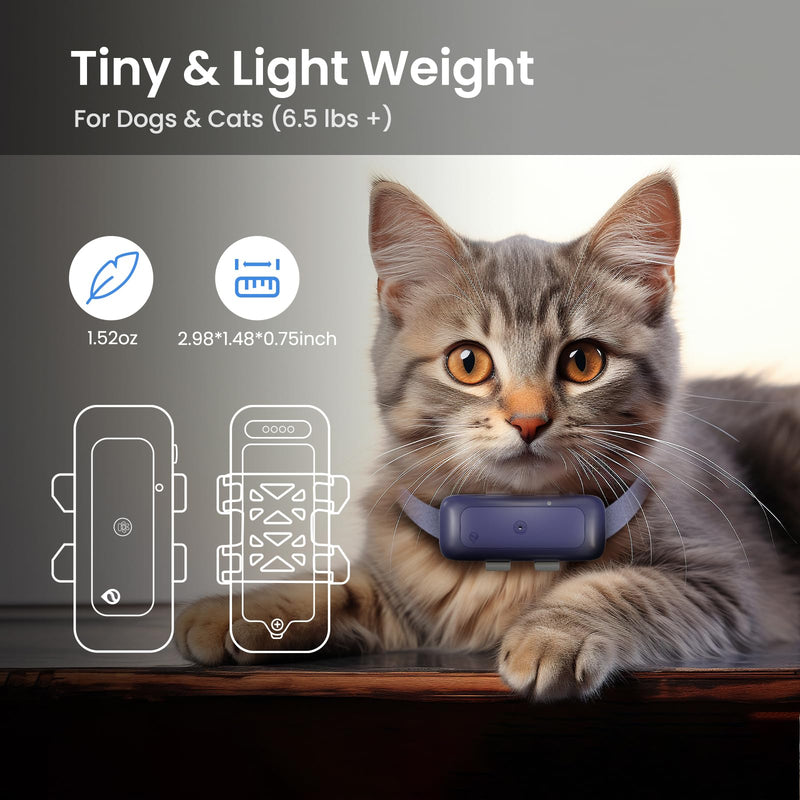 P1 GPS Dog Cat(6.5 lbs+) Tracker - Pet GPS Location Tracker for Anti Lost No Distance Limited, Waterproof, Real Time Tracking & Smart Activity, Fit All Pet Collars, Blue - BeesActive Australia