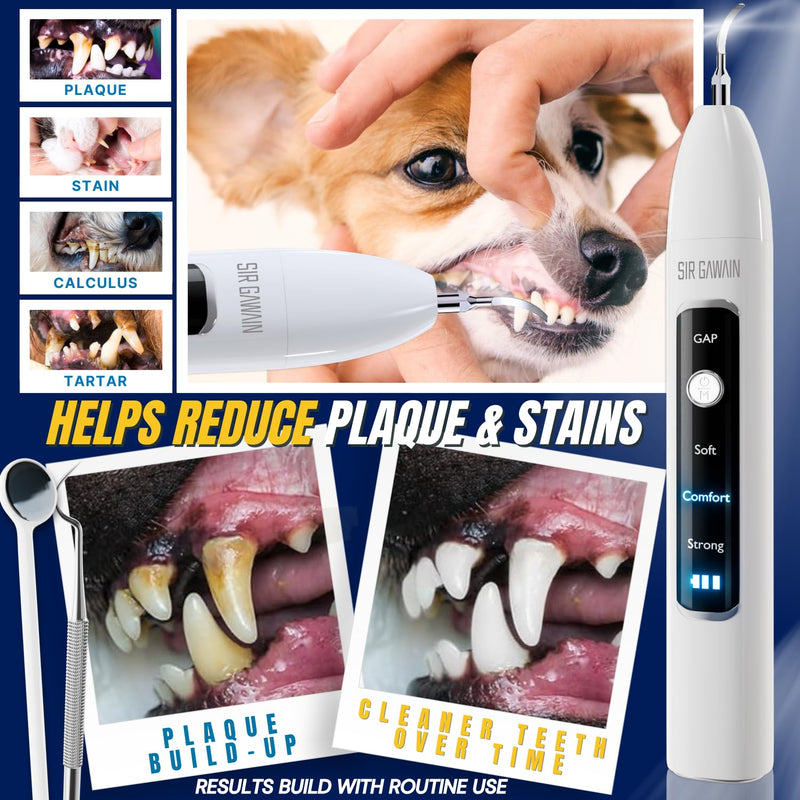 SIRGAWAIN Pet Ultrasonic Dental Cleaner — Plaque, Tartar & Stains Remover, 4 Tips, 3 Modes, LED, Contact-Activated & Smart Touch Protection, Complete Cleaning Kit for Dogs & Cats (White) - BeesActive Australia