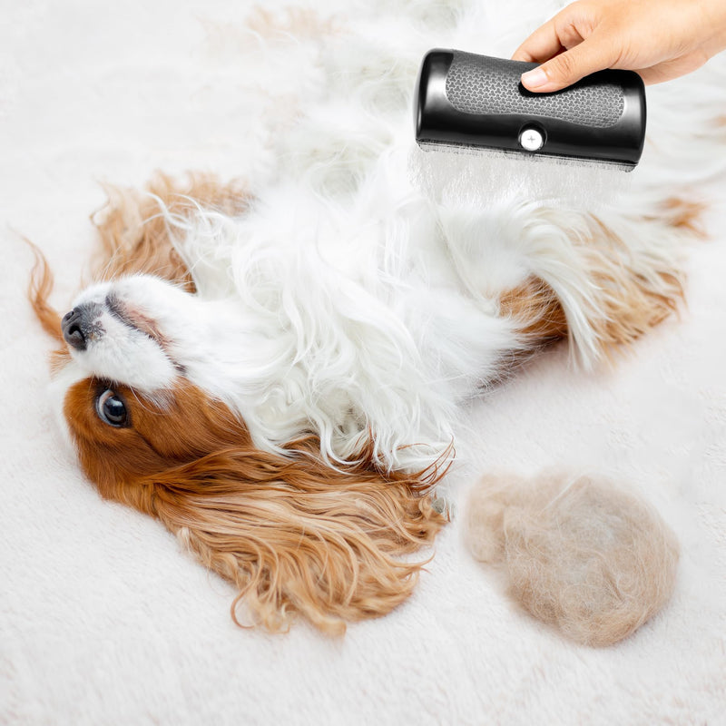 YAOZUP Groomify Pet Care Brush, MR Waggy Tails Brush, Groomify Brush Dog, Dog Brush for Dogs, Pet Hair Removal Brush, Pet Hair Removal Comb, Grooming Combs for Cat and Dog A - BeesActive Australia