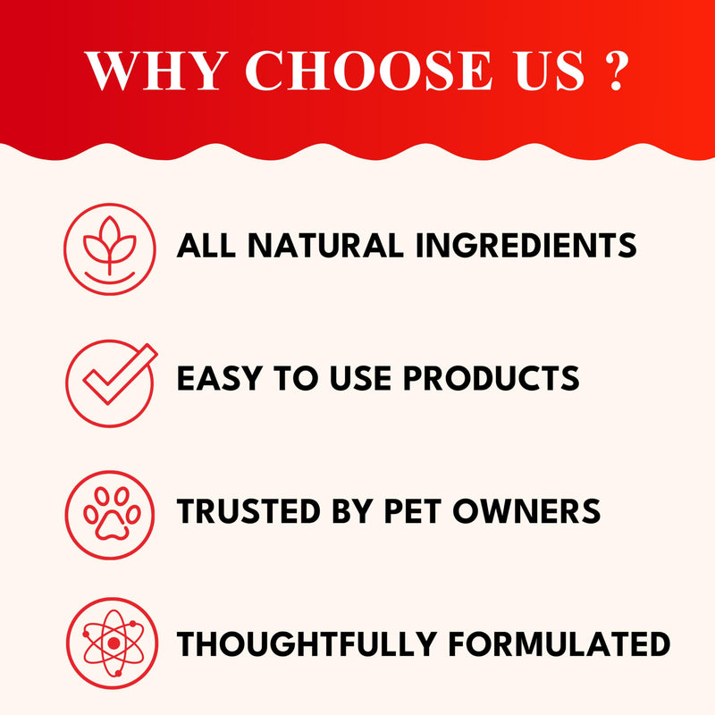 Cranberry Chews for Dogs – UTI Support & Bladder Support – Cranberry Supplement for Dogs – Dog Kidney Support – Urinary Tract & Bladder Control (30 Soft Chews) 30 Soft Chews