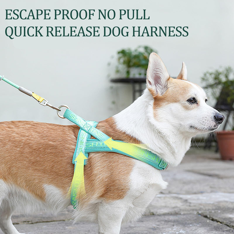 No Pull Escape-Proof Dog Vest Harness No Choke Soft Padded Dog Strap Harness Easy for Dog Walking Training Harness with Comfortable Handle S(Neck:13.8",chest:18.1"-23.2") Green - BeesActive Australia