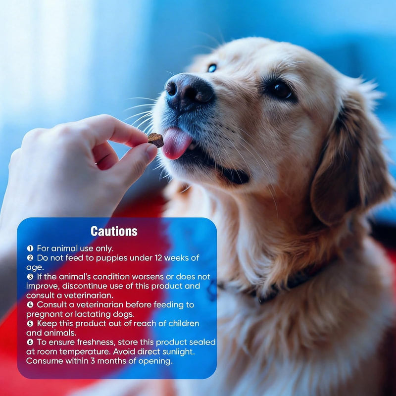 Dog Allergy Chews with Probiotics & Vitamins – Supports Skin Comfort & Coat Health