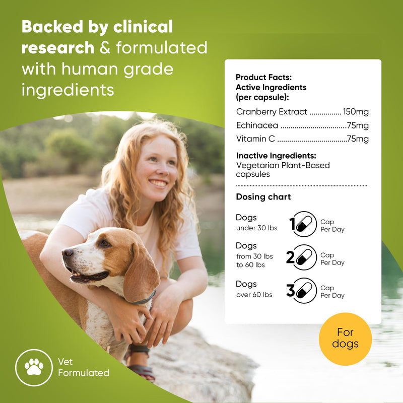 Urinary Support - Echinacea and Cranberry Supplement for Dogs - Dog UTI Prevention - 60/ct - BeesActive Australia