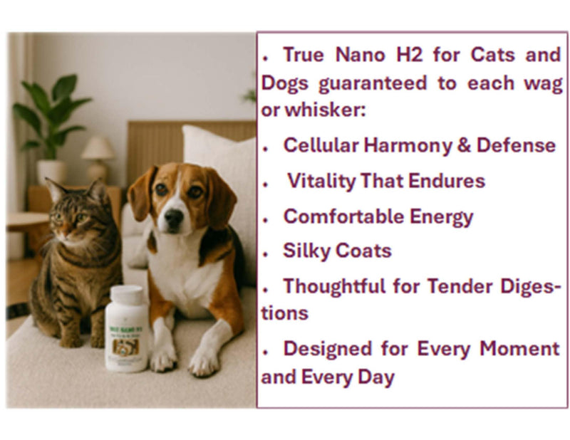 for Cats & Dogs – Advanced Molecular Hydrogen Supplement for Cellular Health, Vitality & Recovery – 120 Capsules
