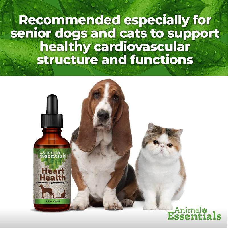 Animal Essentials Heart Health for Dogs & Cats - Cardiovascular Support Supplement, Healthy Heart, Organic Hawthorn Berry, Herbal Tincture - 2 Fl Oz 2 fl oz (60 ml) - PawsPlanet Australia