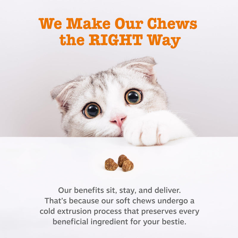 Zesty Paws Calming Chews for Cats - Composure & Relaxation for Everyday Stress & Separation - with Ashwagandha, Organic Chamomile, L-Theanine & L-Tryptophan – Bacon - 60 Count - Cat Cat - Bacon 60 Count (Pack of 1)
