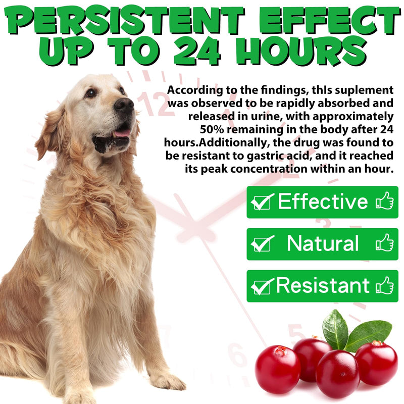 Dog Uti Treatment, Dog Urinary Tract Infection Treatment, Urinary Tract for Dogs with Cranberry Extract 60ML