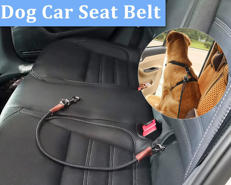 MayPaw Training Tie Down- Short Dog Tether Indoor- Strong Rope Dog Car Leash Seat Belt- 5 Sizes Vehicle Safety Restraint Lead for Small Medium Large Dogs, 24 Inch 24 Inch/61 CM black - BeesActive Australia