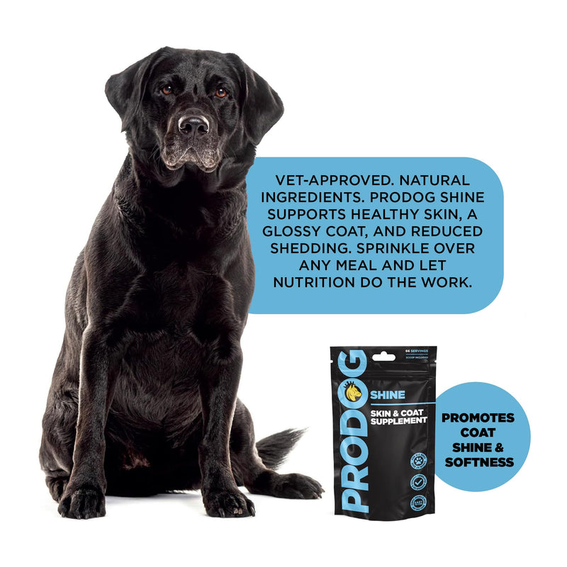 ProDog Shine Skin & Coat Conditioner Supplement for Dogs - Glossy Coats & Healthy Skin - Reduces Itching, Moulting & Odour - Supports Digestion, Immunity & Overall Well-Being (66 Servings) 200g - 66 Servings