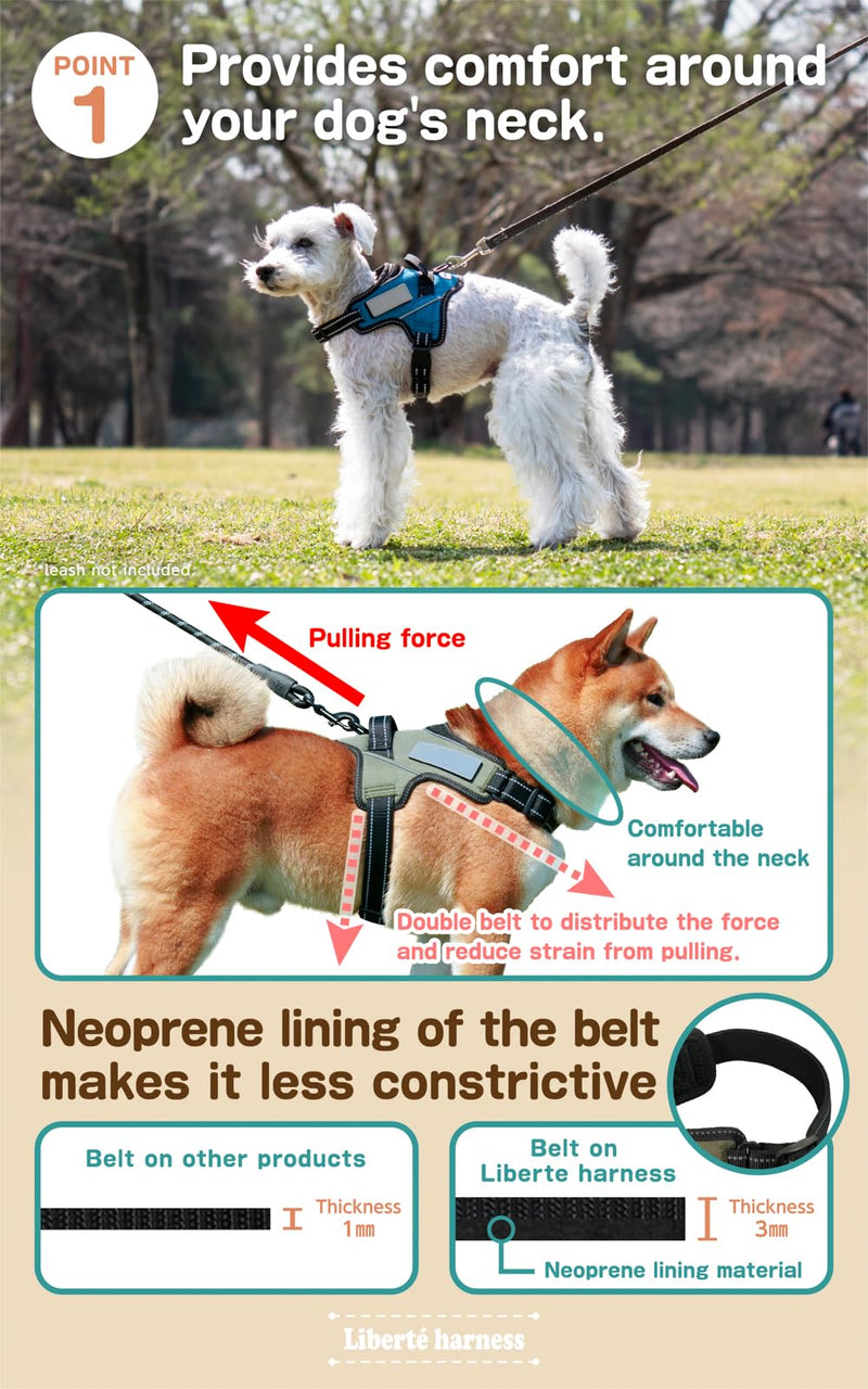 Dog Harness No Pull Name Plate Attachable (Cerulean Blue, Medium, 11-22lb) Cerulean Blue - BeesActive Australia