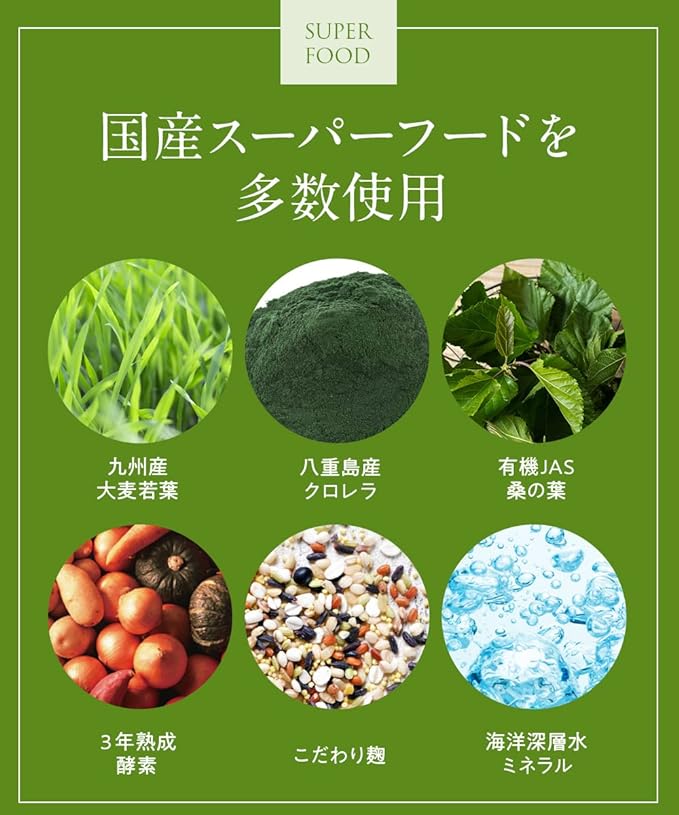 Green Smoothie Diet 180g Approximately 30 cups Powder Kiwi Flavor No Artificial Sweeteners Smoothie Lactic Acid Bacteria Enzyme Inulin Green Smoothie 365 Flora - BeesActive Australia
