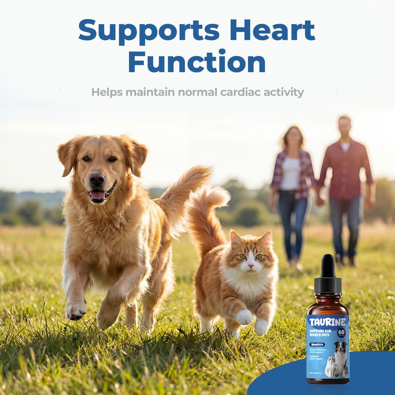 Taurine Supplement for Dogs & Cats Drops – Daily Amino Acid Liquid Drops for Heart Function, Vision Support & Balanced Pet Nutrition