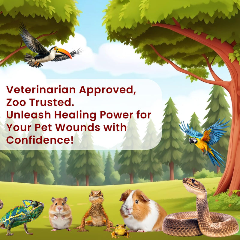 F10 Antiseptic Wound Spray for Reptiles, Birds, Small Animals & Exotic Animals, Antiseptic Pain Relief Spray & Prevents Infection - 100ml 100 ml - PawsPlanet Australia
