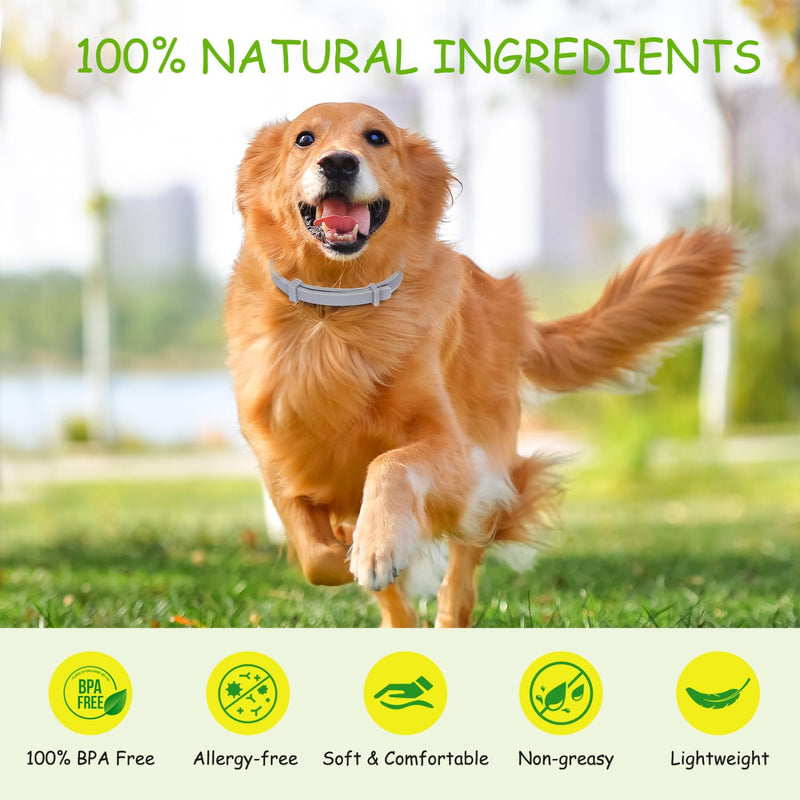 Nobleza - 2 pieces tick collar for dogs, effective protection against ticks and fleas, waterproof and adjustable in size, up to 8 months tick protection with 100% natural ingredients, length 56 cm - BeesActive Australia