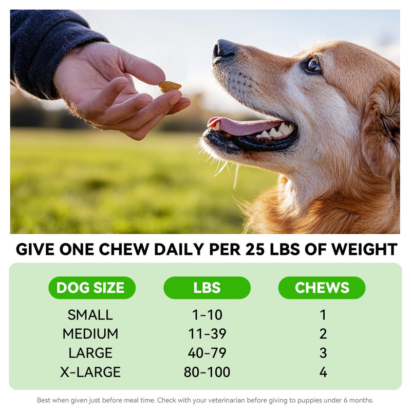 Probiotics for Dogs – Digestive & Immune Support Soft Chews with Prebiotics, Fiber & Enzymes – Relieves Diarrhea, Gas & Itchy Skin – Chicken Flavor Dog Supplement, 120 Chews