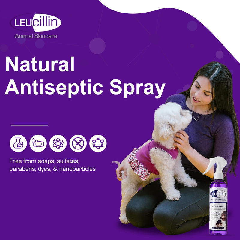 Leucillin Natural Antiseptic Spray - Antibacterial Antifungal Antiviral for Dogs Cats All Animals Itchy Skin Minor Wound Care and Skin Health | 250ml 250 ml (Pack of 1)