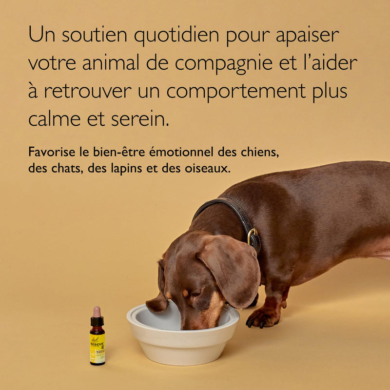 RESCUE® Pets Dropper 20ml