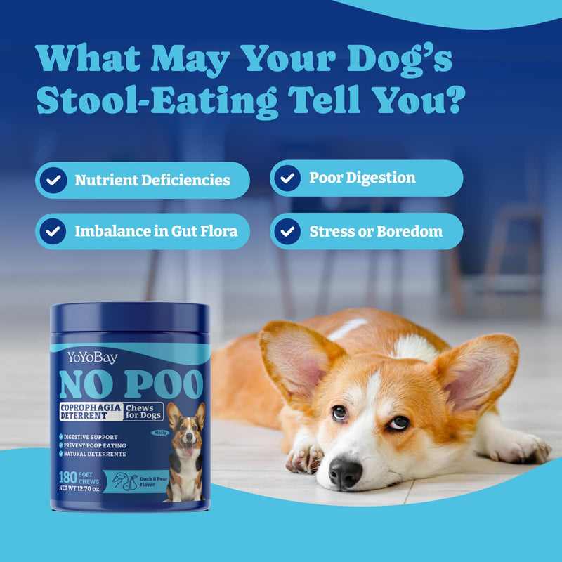 Dog Allergy Relief Chews – 70 Count + 180 Count No Poo Chews for Allergy + Digestive Odor Control