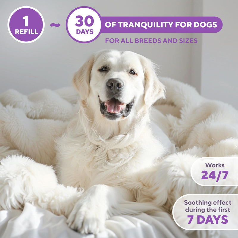 Calming Diffuser Kit for Dogs & Puppy - Pet Separation Anxiety Relief & Calm Pheromones Plug - Anti Stress Treatment Help with Fireworks, Aggression, Fighting & Other Problematic Behaviors - PawsPlanet Australia