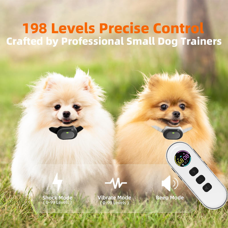 Ultra-Small Dog Shock Collar for 2 Dogs, Ultra-Light & Thin Dog Training Collar with 1300ft Remote, Tailoredfor Small Dogs 5-15lbs & Medium Dogs, 198-Level Control, Waterproof, Rechargeable(White) White - BeesActive Australia