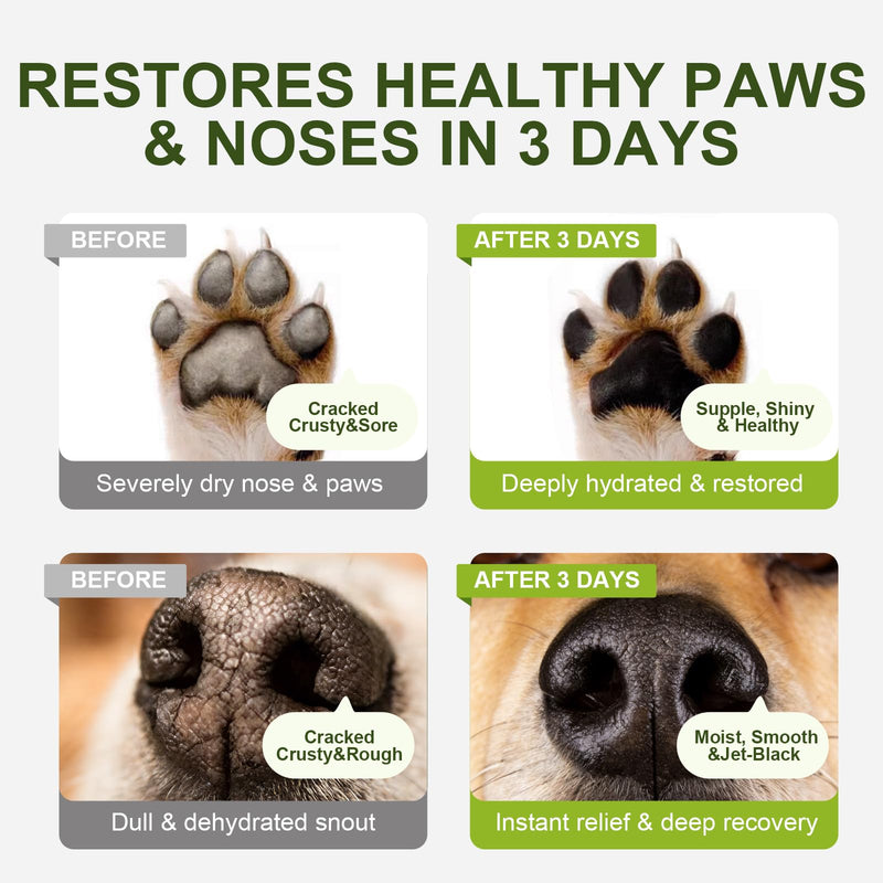 Dog Paw Balm & Nose Butter with Sea Buckthorn | Winter Ice Melt & Hot Pavement Paws Protector | Gentle Moisturizer & Soother for Dry Cracked Pads & Snout Unscented (60g / 2.1oz)