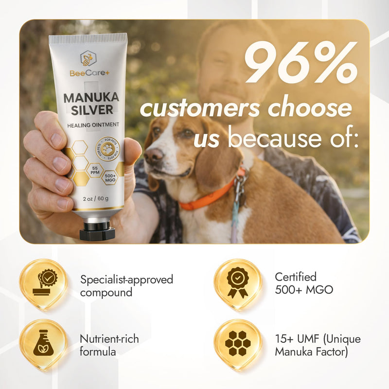 Manuka Honey Ointment 500+ MGO – Dog Hot Spot Treatment for Scratches, Burns, Irritations – Cat Wound Care with 55-PPM Colloidal Silver for Dogs – Manuka + Silver Healing Ointment in a 2-oz Tube Manuka Silver Ointment 2 Fl Oz x 1