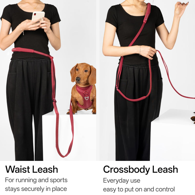 Hands Free Dog Leash Adjustable Versatile Crossbody Waist Dog Leash Reflective Comfortable Padded Handles Shock Absorbing Walking Lead for Small Medium Large Dogs (Super Reflect-Black, S) Super Reflect-Black