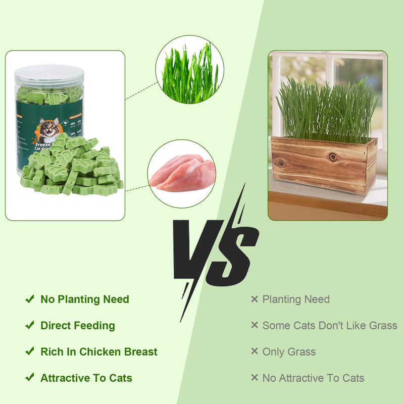 90g Cat Grass for Indoor Cats, Cat Grass Treats, Natural Freeze Dried Kitty Treats, Hairball Treatment for Cats, Edible Kitty Chew Toy Snack for Teething Hairball Removal 3.17 Ounce (Pack of 1)