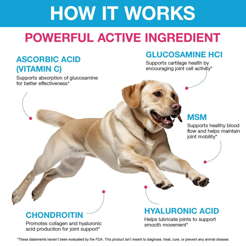 Glucosamine for Dogs, Liquid Hip and Joint Supplement for Dogs Pain Relief,Supports for Joint, Muscles, & Ligaments Health
