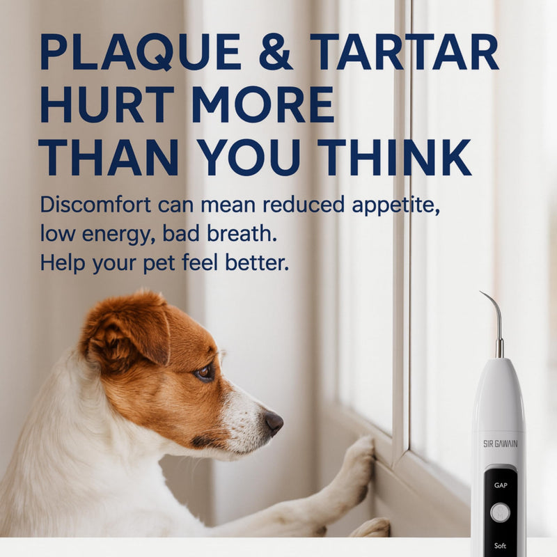 SIRGAWAIN Pet Ultrasonic Dental Cleaner — Plaque, Tartar & Stains Remover, 4 Tips, 3 Modes, LED, Contact-Activated & Smart Touch Protection, Complete Cleaning Kit for Dogs & Cats (White) - BeesActive Australia