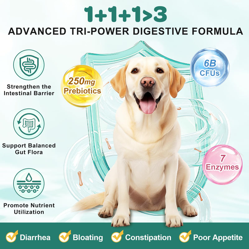 ZEBORA Salmon Oil for Dogs, Probiotics for Dogs