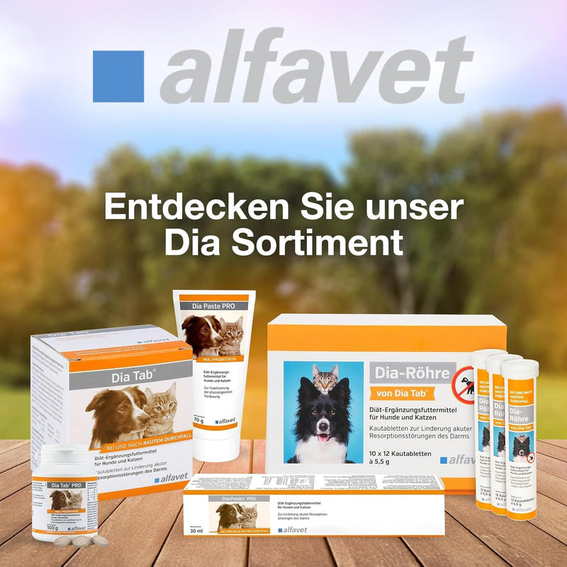 alfavet Dia Tab PRO for Dogs & Cats (100 g/ca. 50 chewable tablets) – Digestive Support Supplement – Prebiotic & Probiotic Formula with FOS, Enterococcus faecium & Bentonit