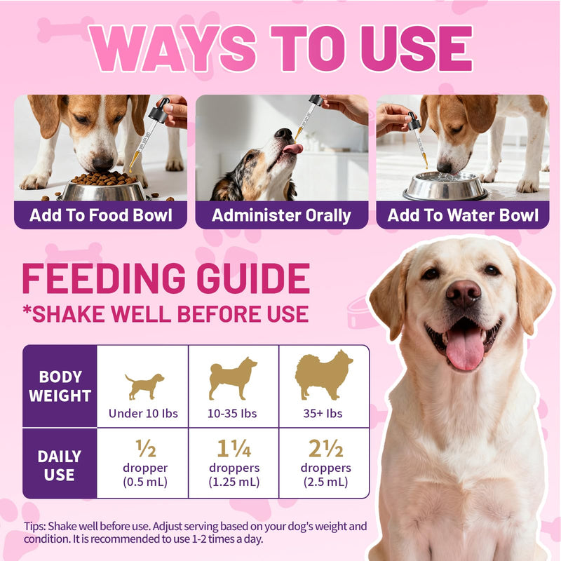 Wagmee Allergy Relief Drops for Dogs, Dog Itchy Skin Relief & Natural Yeast Treatment with Omega-3, Turmeric for Dogs Anti Itchy Ears Paw Relief - Dog Seasonal Allergies, Skin & Coat Immune Support