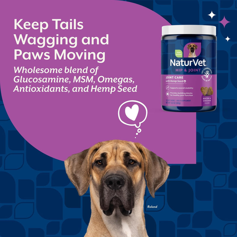 Healthy Joint Health Supplement for Dogs, Hemp Seed Oil, Hemp Seed Powder, Glucosamine, Msm and Chondroitin for a Powerful Joint Health Solution for your Dog, Made by NaturVet, 120 Count Hemp Plus Hemp Seed 120 Soft Chews