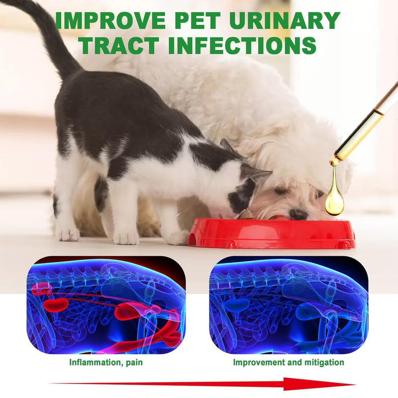 Pet Urinary Tract Health Care Drops for Dogs & Cats - Urinary Tract, Bladder & Kidney Care with Cranberry, 60ml Natural Formula