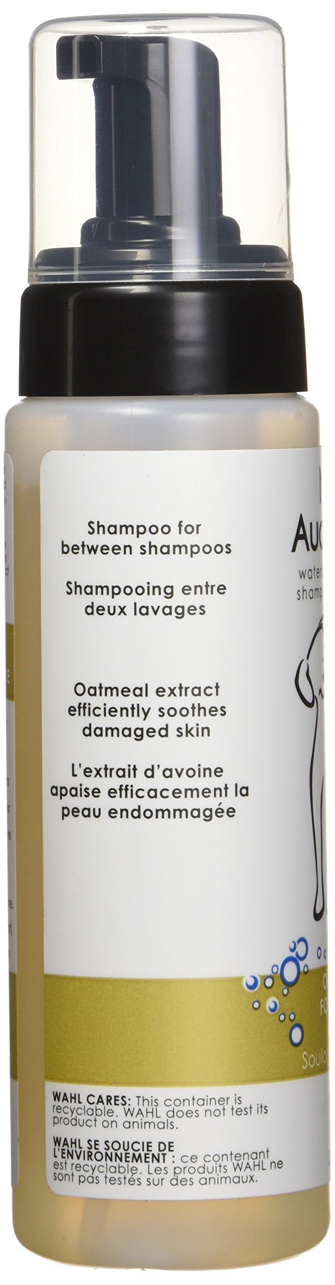 210mL Waterless Oatmeal Dog Shampoo - PawsPlanet Australia