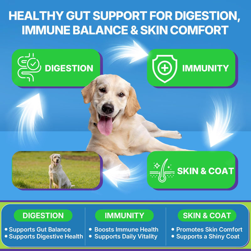 WEALLIN Cat & Dog Wellness Bundle, Taurine Cat Multivitamin Treats + Dog Probiotic Chews, Daily Nutrition, Gut Health, Digestive Support, Skin & Coat Care for Multi-Pet Homes