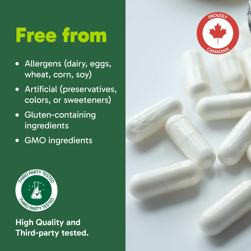 Organika L-Theanine Supplement 8 oz - 90 Capsules: 90 Day Supply of Clean Bioavailable L Theanine for Relaxation, Balance, and Calm - Easy-to-Swallow Single Capsule Servings Unflavored