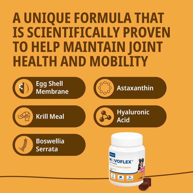 MOVOFLEX® Joint Supplement for Large Dogs >35kg | Supports Joints & Mobility| Fast-Acting Tasty chews | 30 Chews