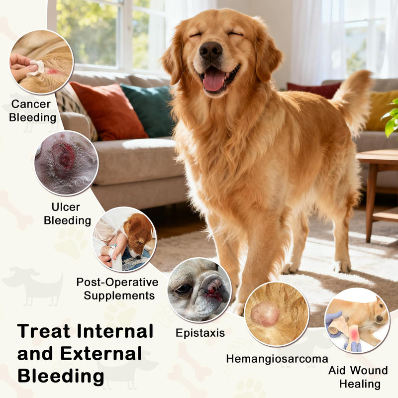 Yunnan Sanqi Capsules for Dogs, Herbal Quick Stop Bleeding, Blood Support for Hemangiosarcoma, Hemoabdomen, Cancer Bleeding, Pericardial Effusion, Ulcer-Related Bleeding, Bloody Stools - 90 Capsules