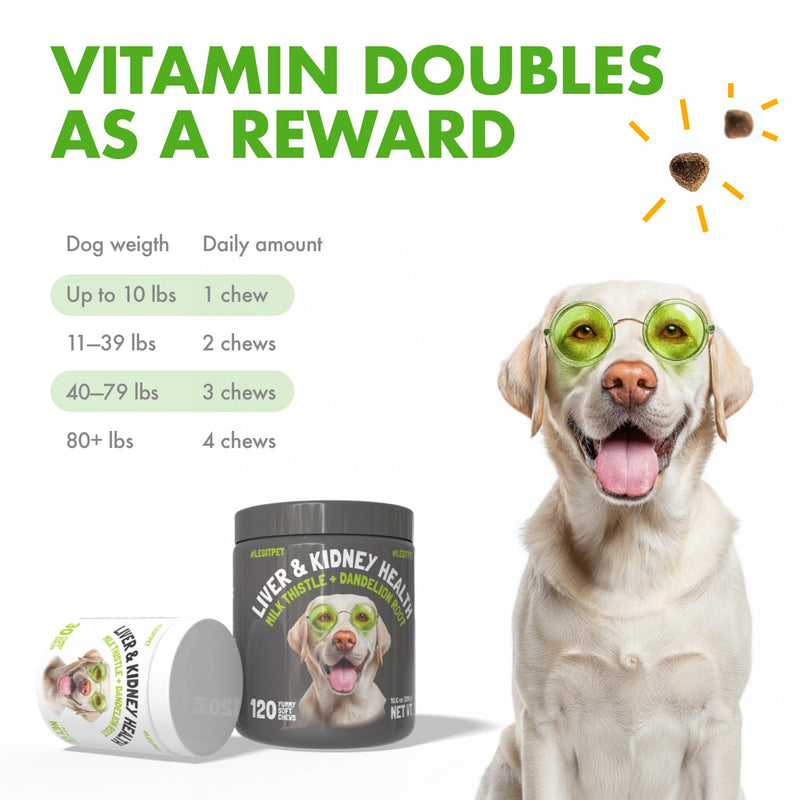Liver & Kidney Support for Dogs Detox Natural Supplement with Milk Thistle Dandelion Root Turmeric Curcumin Hepatic Support Treats for Canine Liver Function, Immunity & Digestion 120 Soft Chews 120 Chews (Pack of 1)