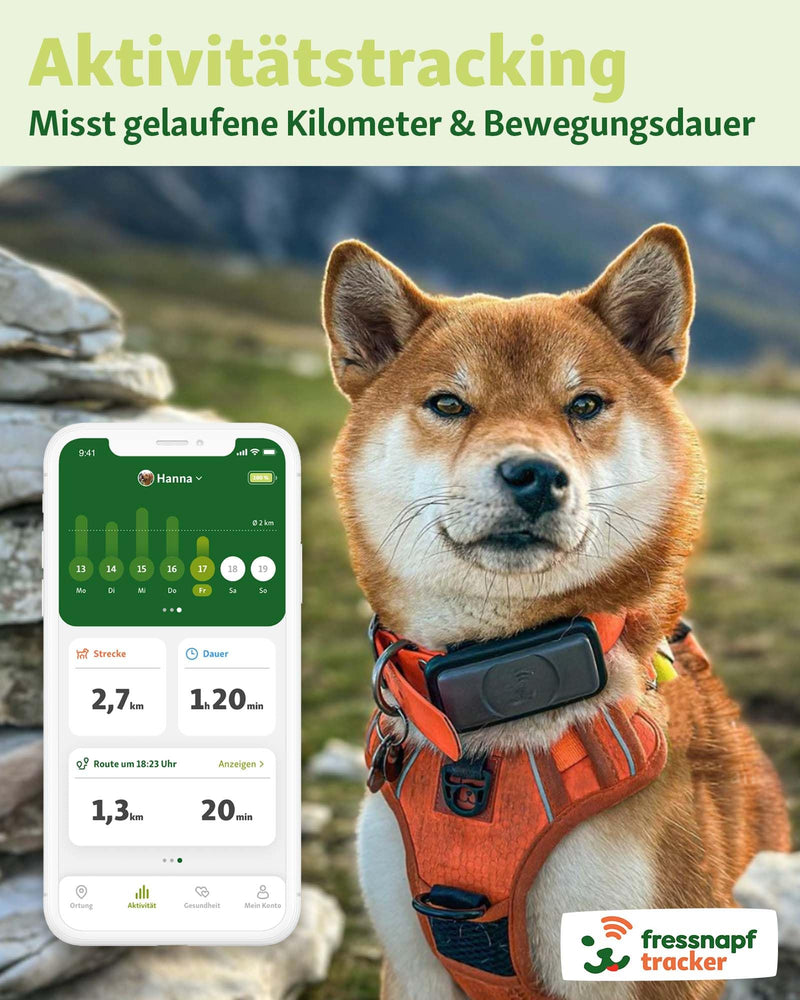 Fressnapf GPS tracker for dogs - 2nd generation - without subscription - tracking without distance limits - activity tracking - health function - dog-friendly design (without personalization) without personalization - BeesActive Australia