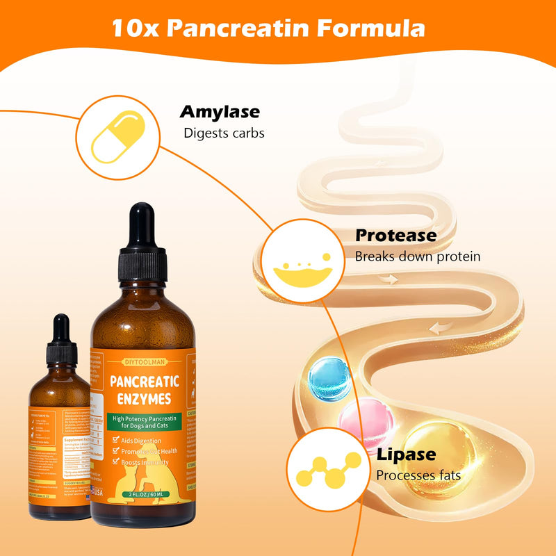 Pancreatic Enzymes for Dogs - Dog Digestive Enzymes & Support - Helps Dogs with EPI Restore Normal Weight, Digestive Health, and Manage Pancreatic Issues - 2 fl oz (Liquid) - BeesActive Australia